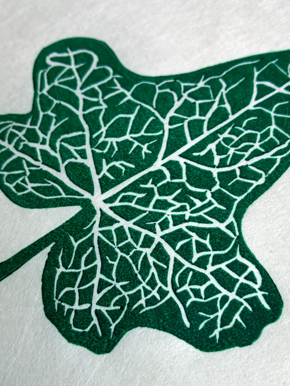 Close up detail of an ivy leaf botanical linocut print in green.