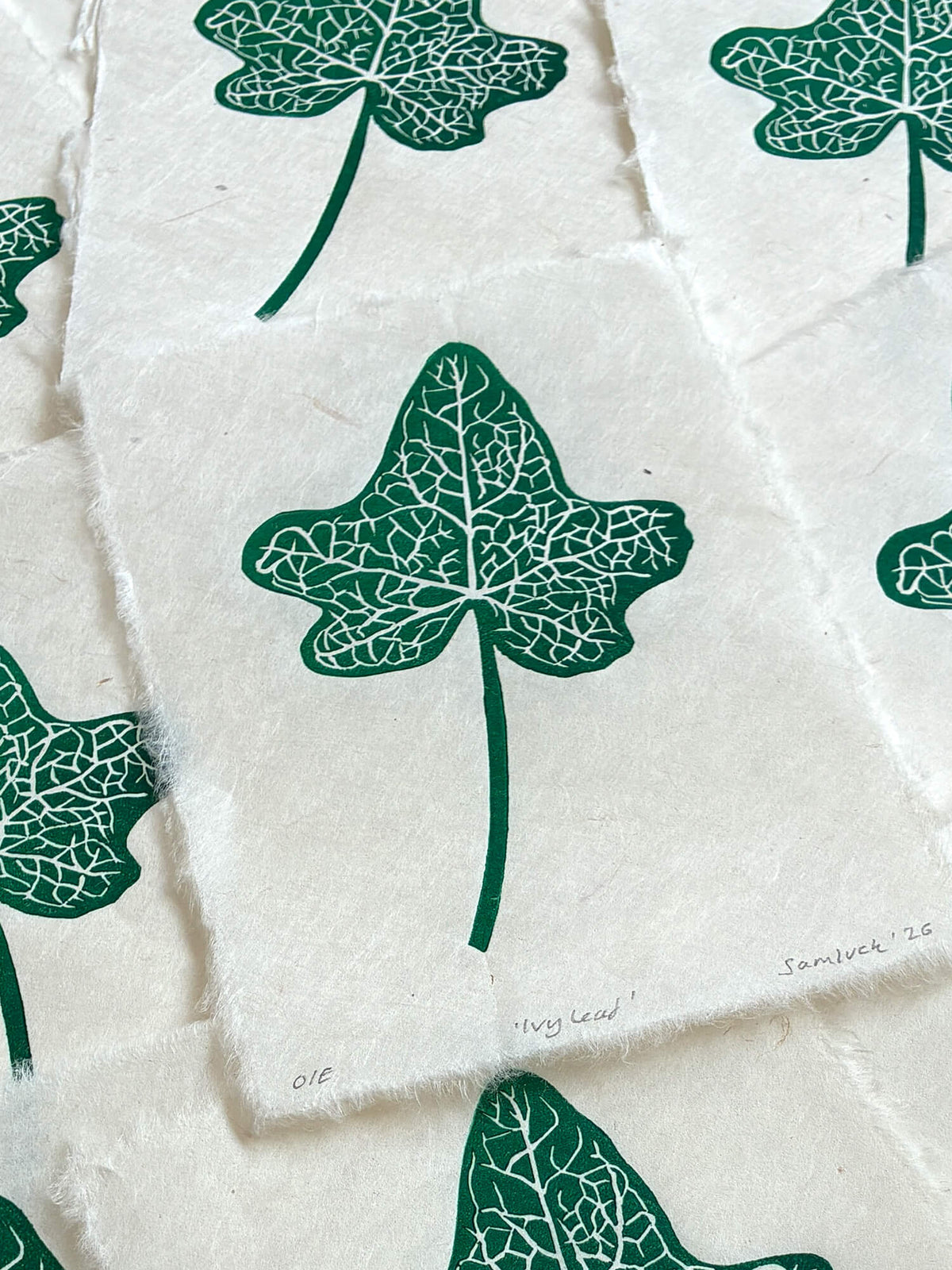 Ivy leaf print, thoughtful art gift for gardeners and nature lovers.