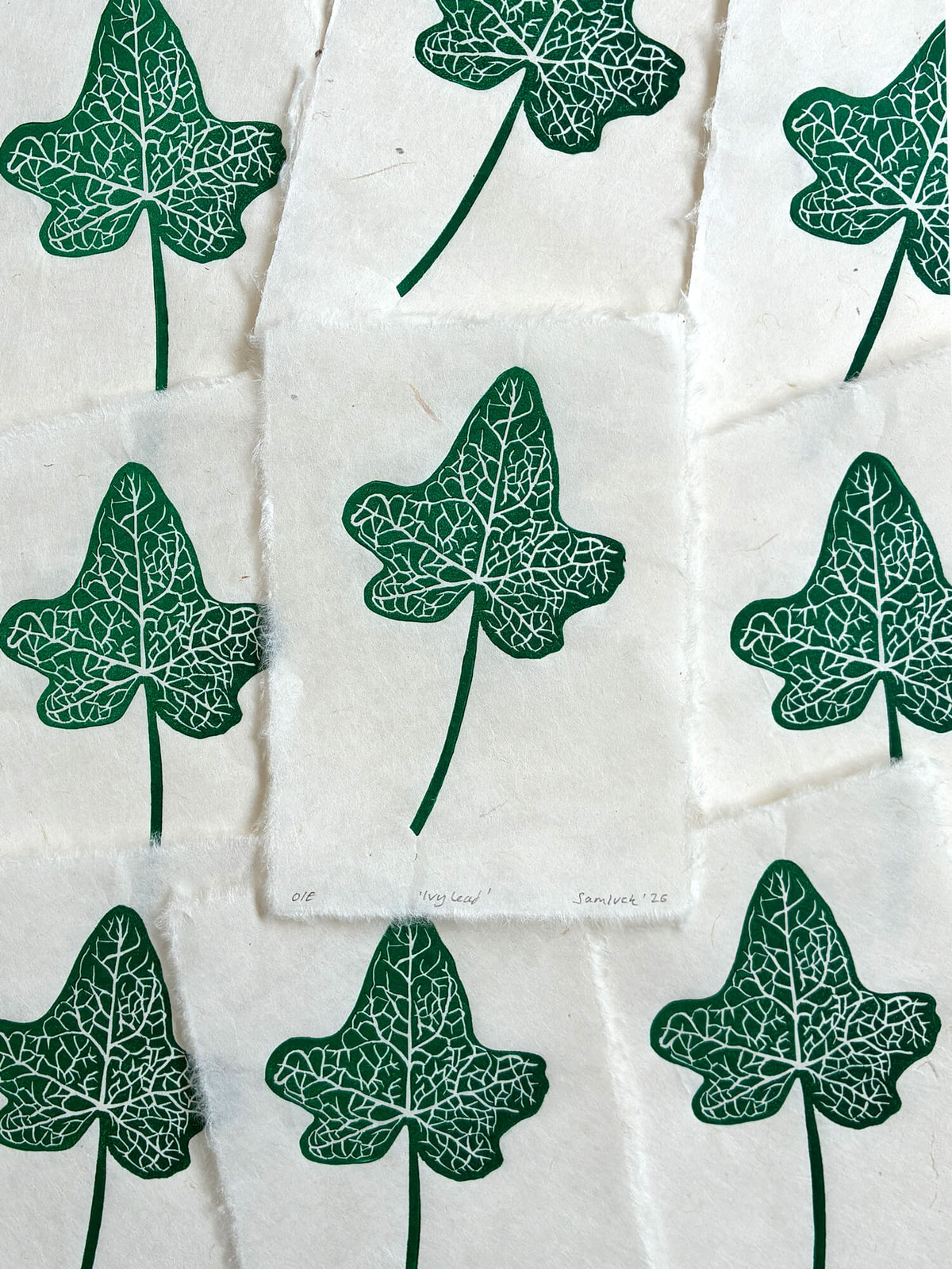 Print edition of an ivy leaf linocut print, hand carved and printed in the UK.