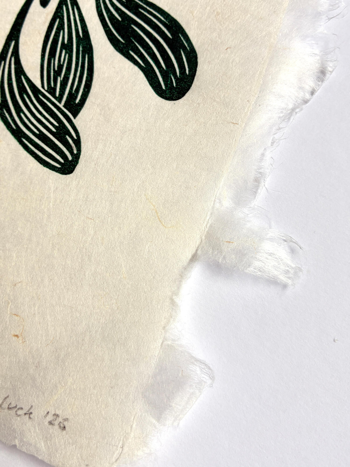 Close-up of a mistletoe linocut print on handmade paper with a dark green ink showing the raw, frayed edges on a white background.