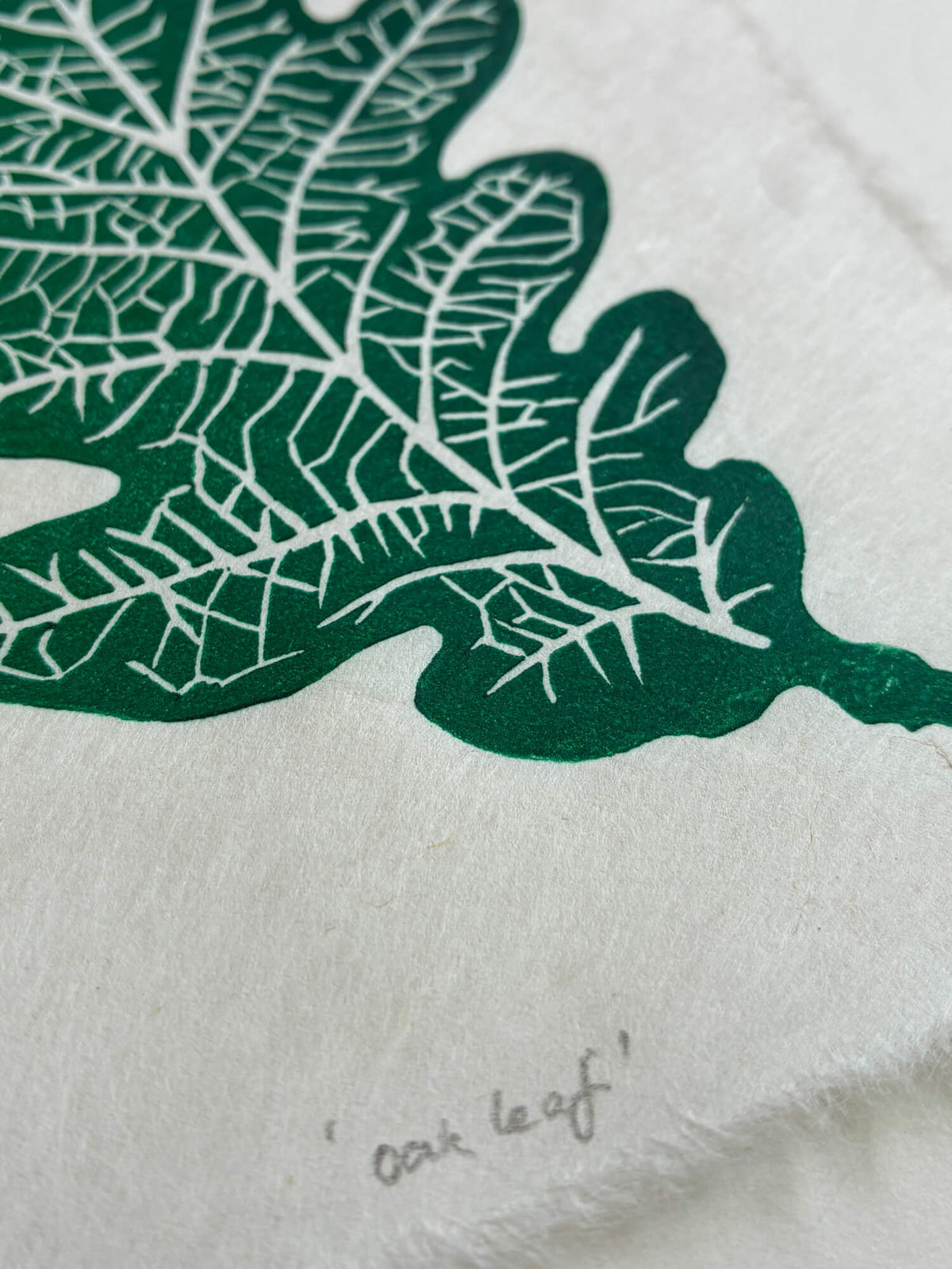 Close up detail of an oak leaf botanical linocut print in green.