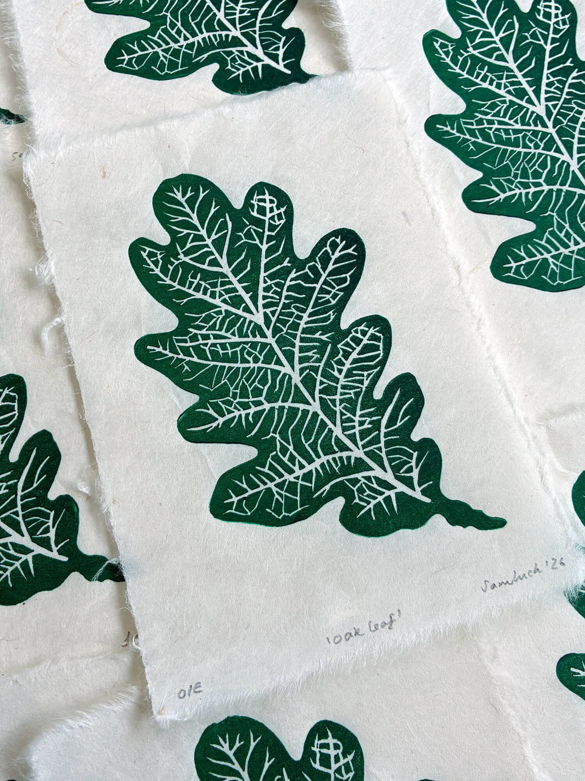 Oak leaf print, thoughtful art gift for gardeners and nature lovers.