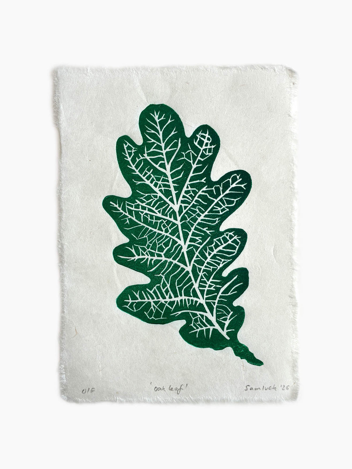 Oak leaf botanical art print on a white background.