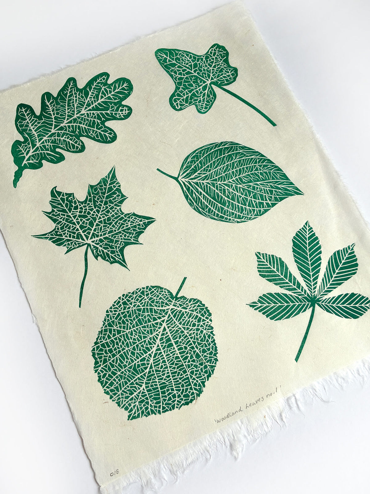 British woodland leaf linocut art print featuring 6 leaves, hand printed on handmade paper on a white background.