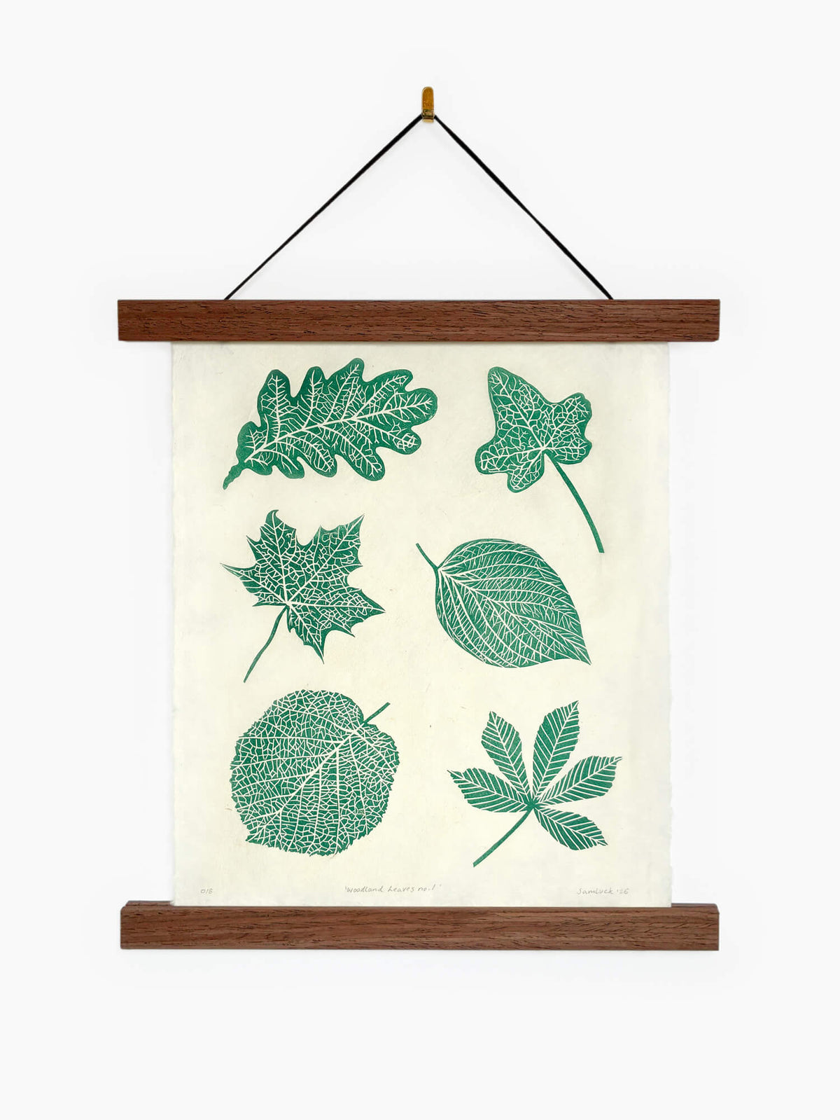 A linocut print of six British woodland leaves on handmade paper, in a hanging wooden frame on a white wall.