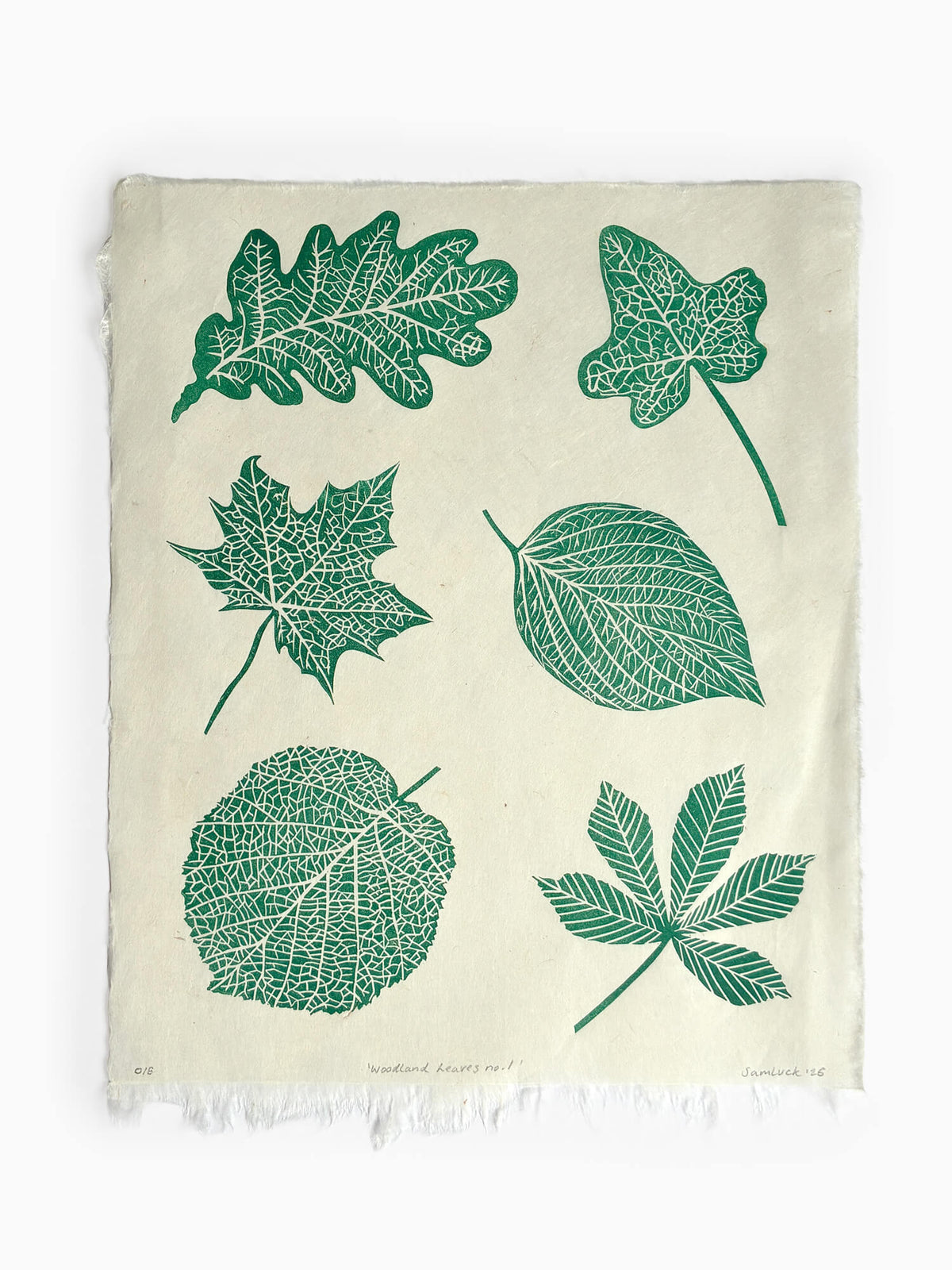 A hand crafted linocut print featuring a green botanical print of six different leaf types, on handmade paper, laid flat against a white background.