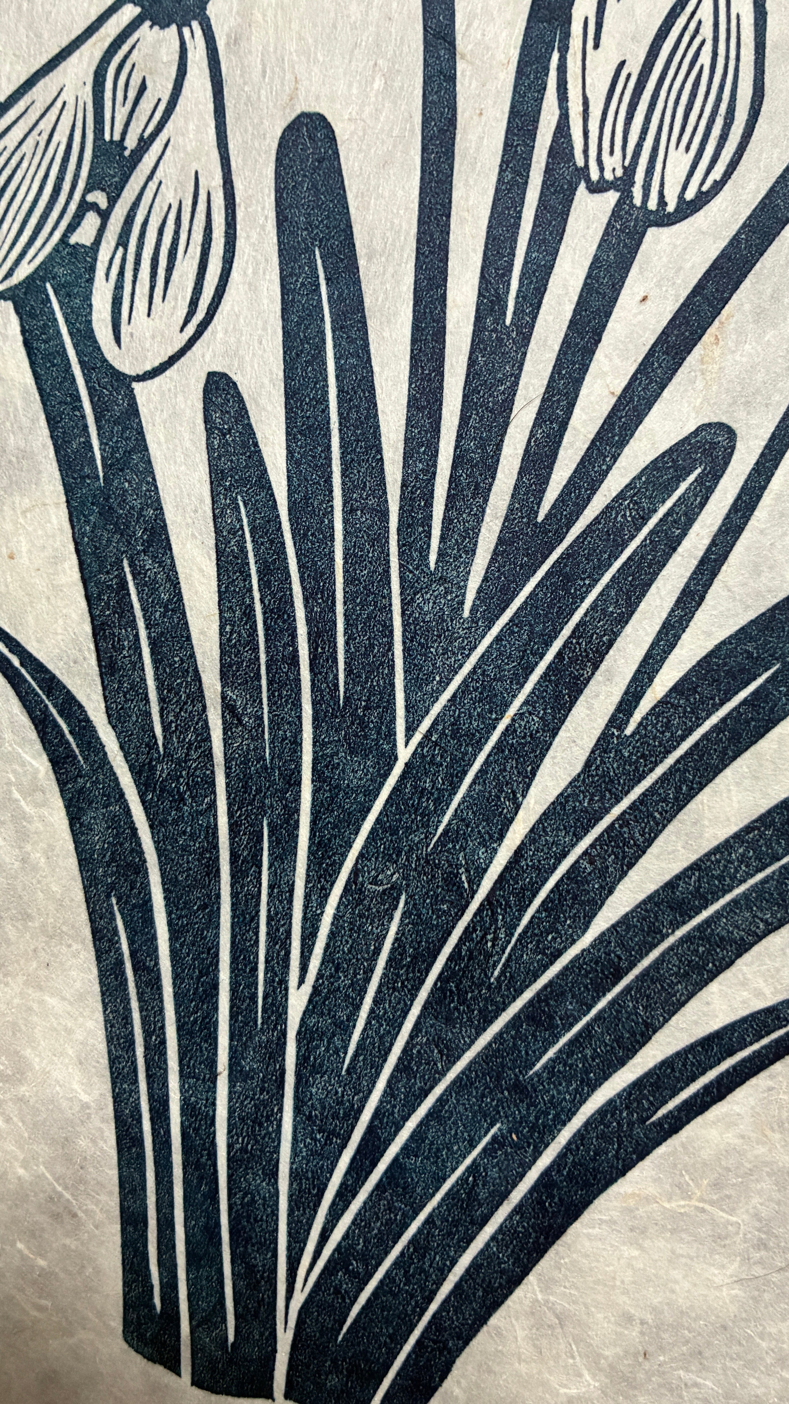SECOND SALE – Snowdrops original linocut print in navy blue