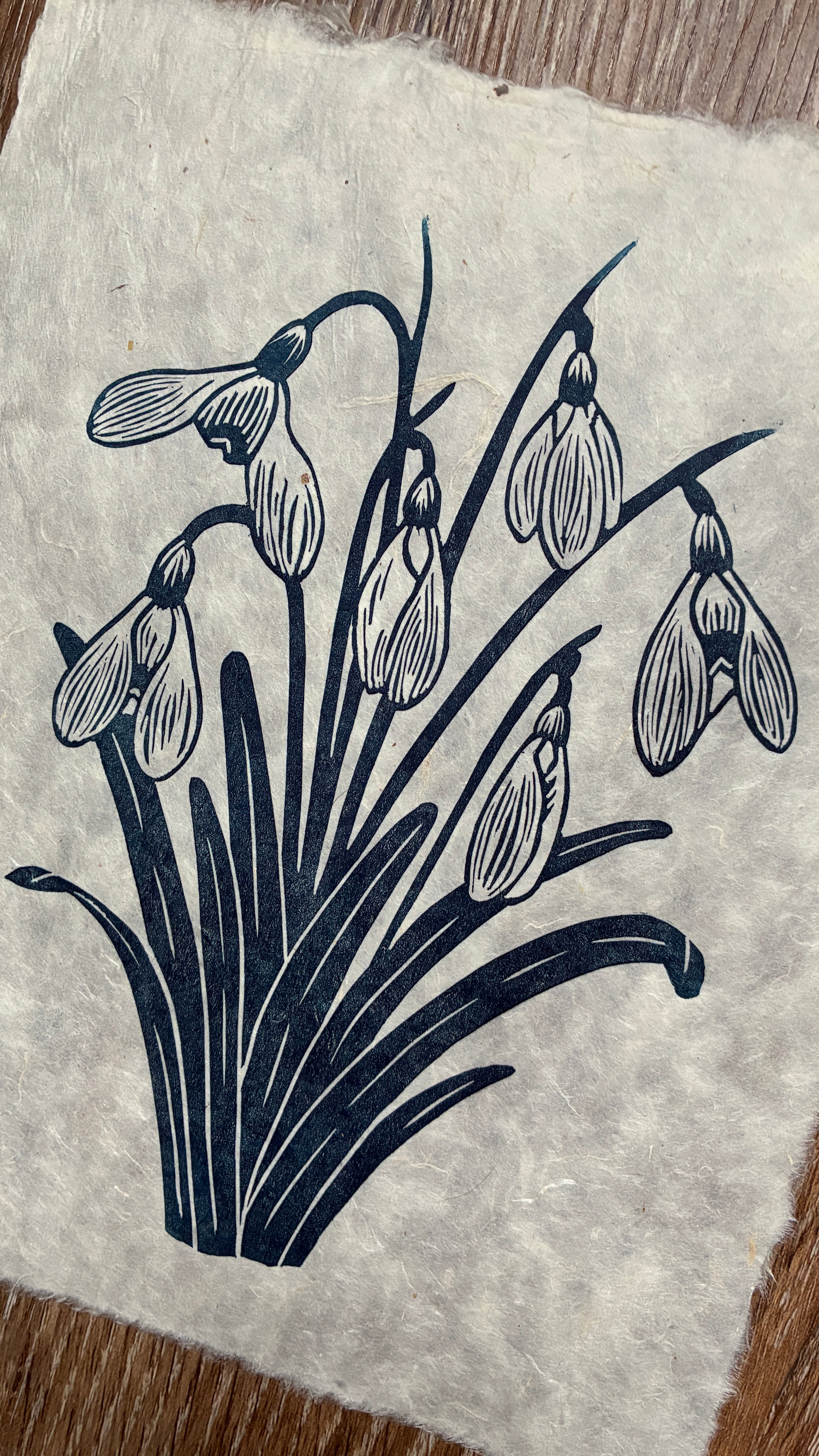 SECOND SALE – Snowdrops original linocut print in navy blue