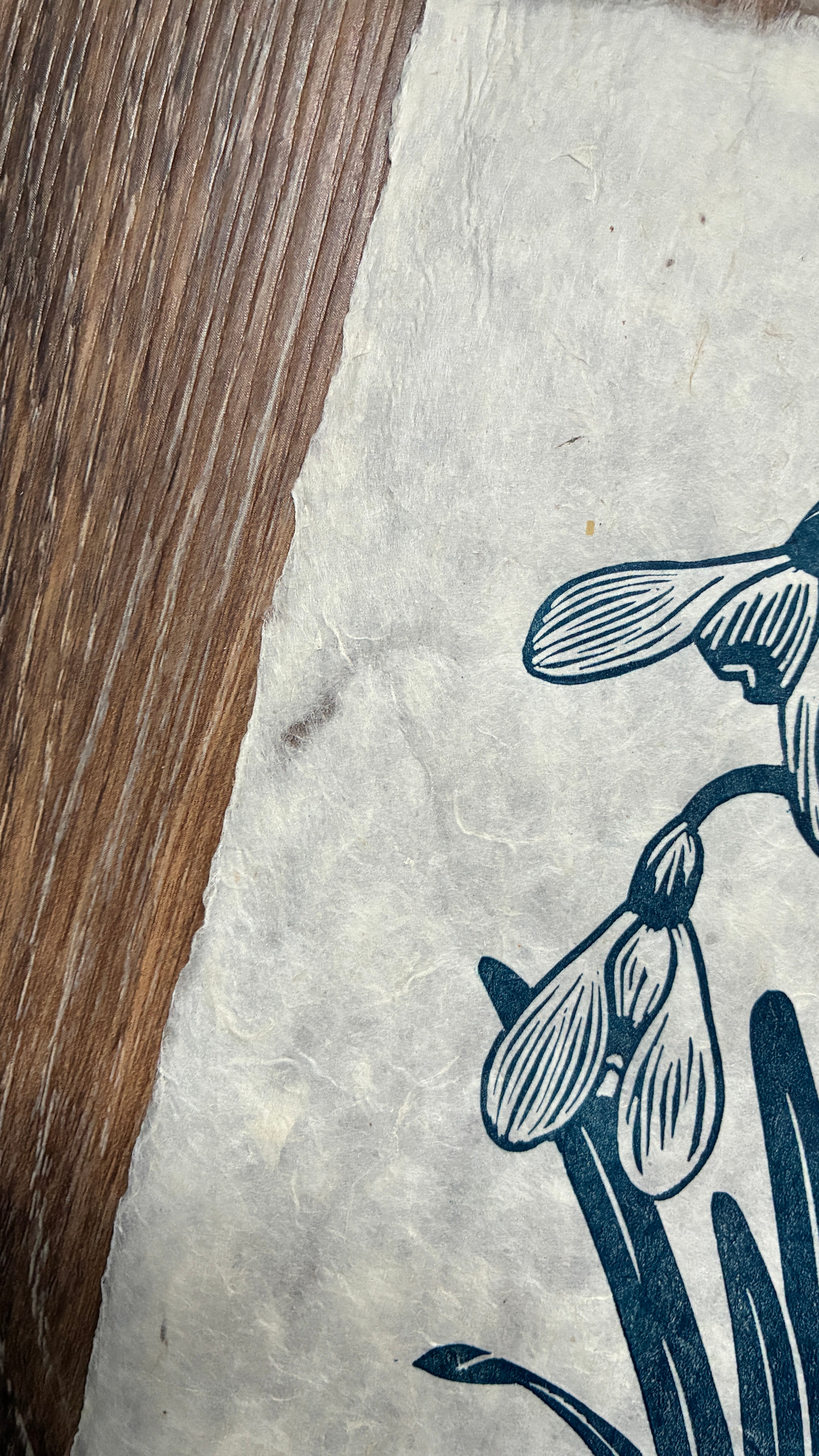 SECOND SALE – Snowdrops original linocut print in navy blue