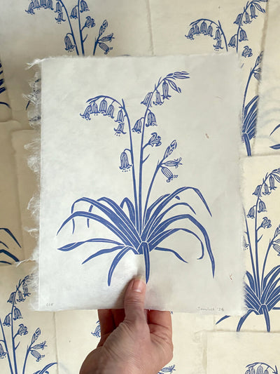 Original bluebell linocut print, for calm home wall art decor, created in Hampshire by Botanical artist, Sam Luck.