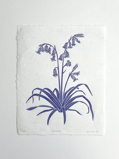 Bluebell handmade linocut botanical print isolated on a white background.