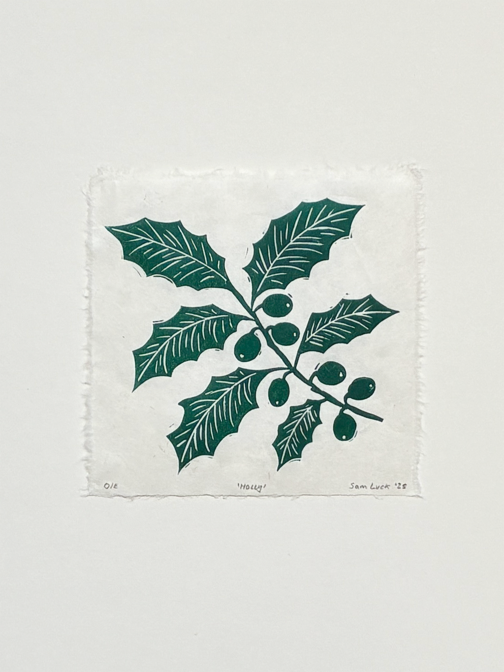 Handmade holly linocut print on handmade paper, view from above, isolated on white background hand printed by UK linocut artist Sam Luck