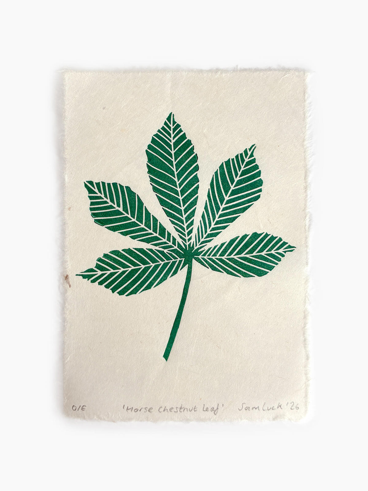 An art print on handmade off-white paper featuring a green chestnut leaf block print. Created by Sam Luck in Hampshire, UK.