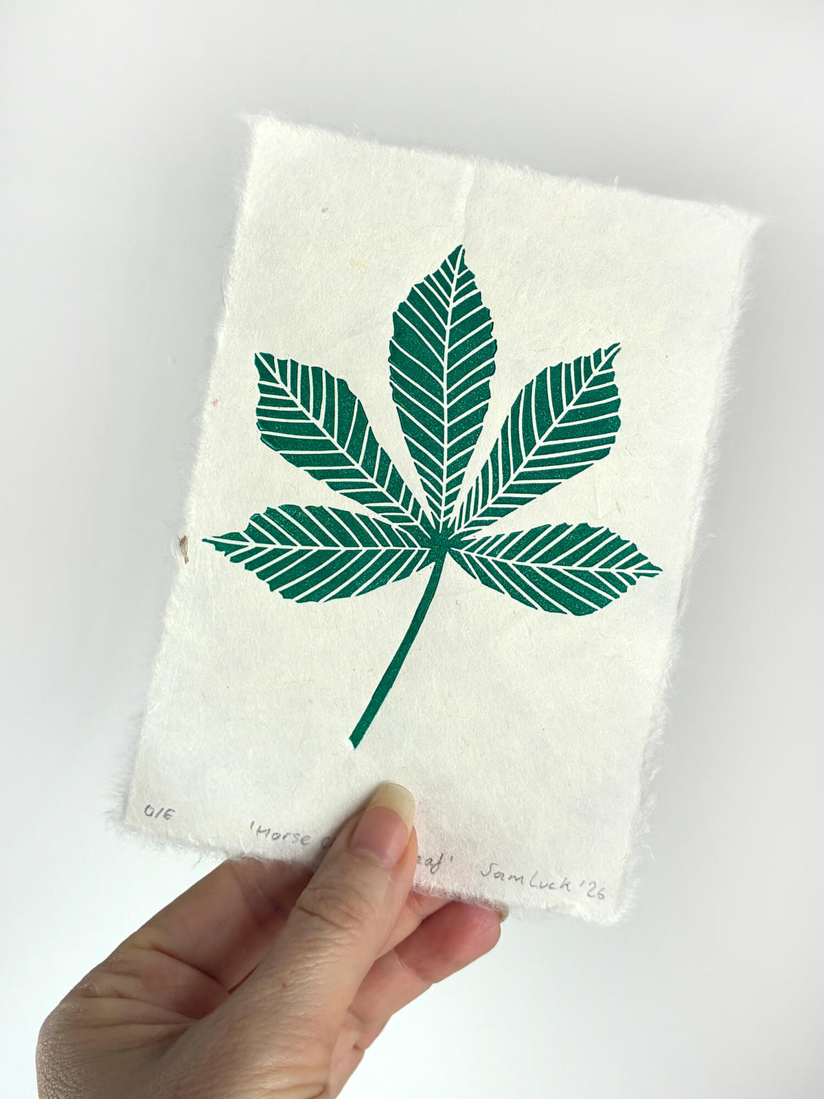 A hand holding a piece of off-white handmade paper with a printed green horse chestnut linocut leaf design, photographed against a plain white background.