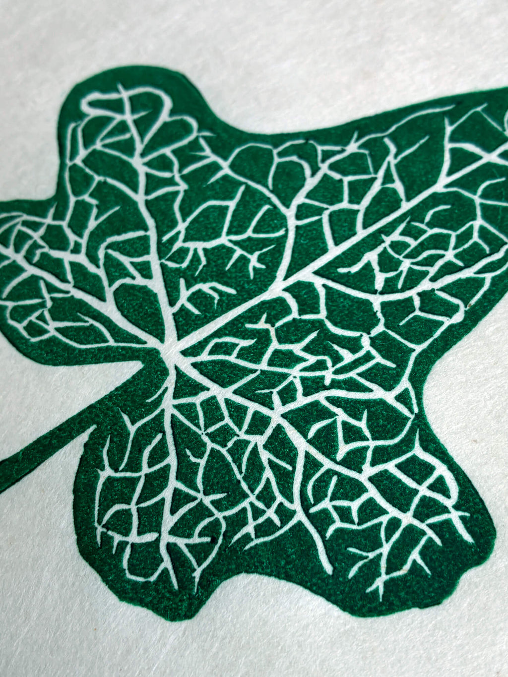 Close up detail of an ivy leaf botanical linocut print in green.