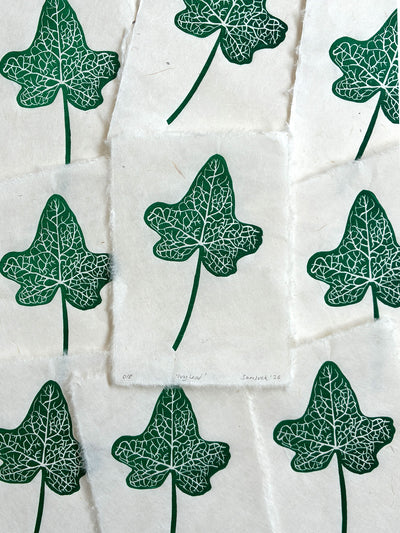 Print edition of an ivy leaf linocut print, hand carved and printed in the UK.