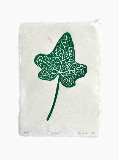 Ivy leaf botanical art print on a white background.