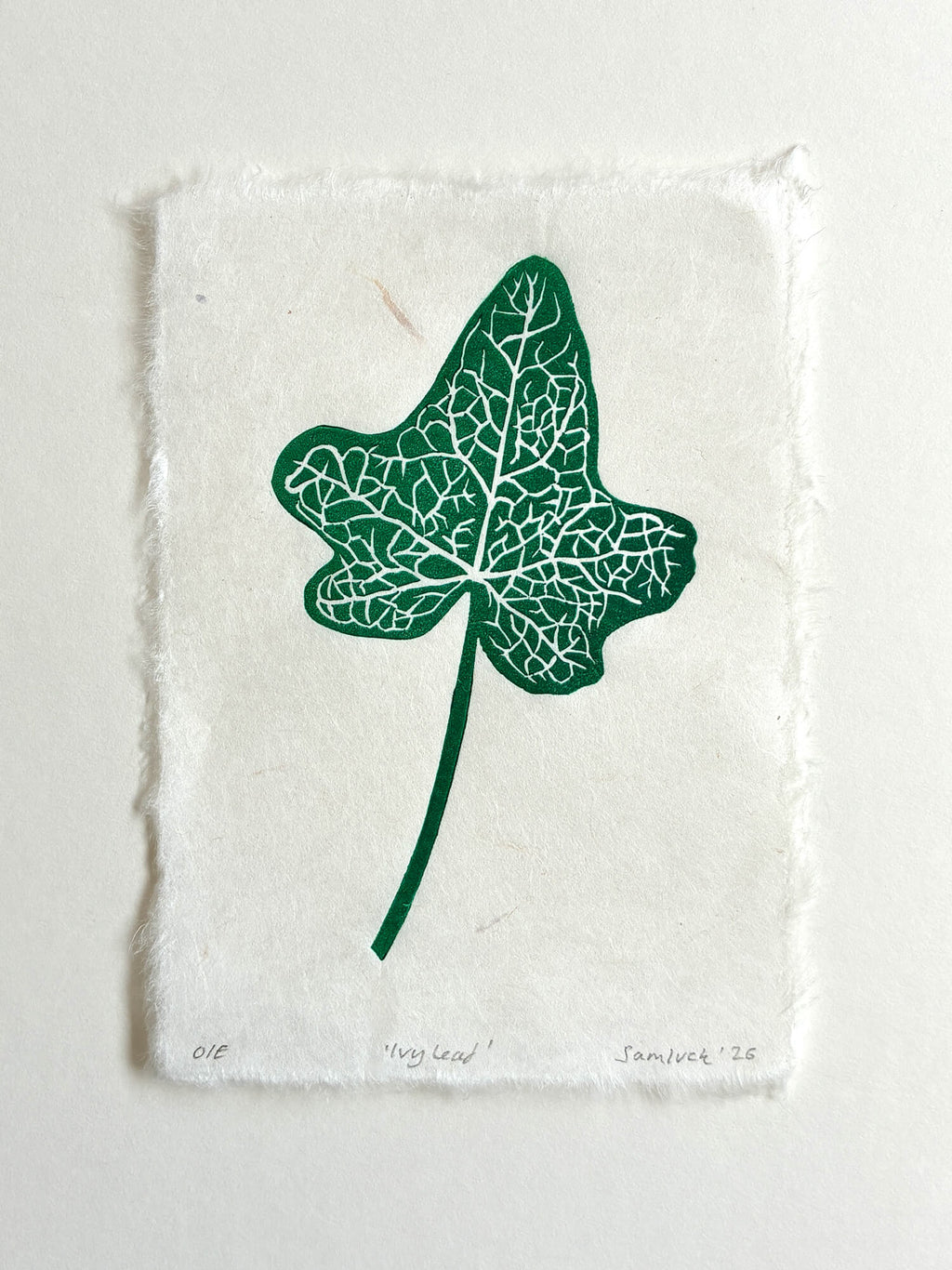 Ivy leaf botanical art print on a white background.