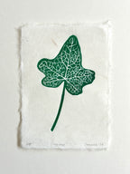 Ivy leaf botanical art print on a white background.