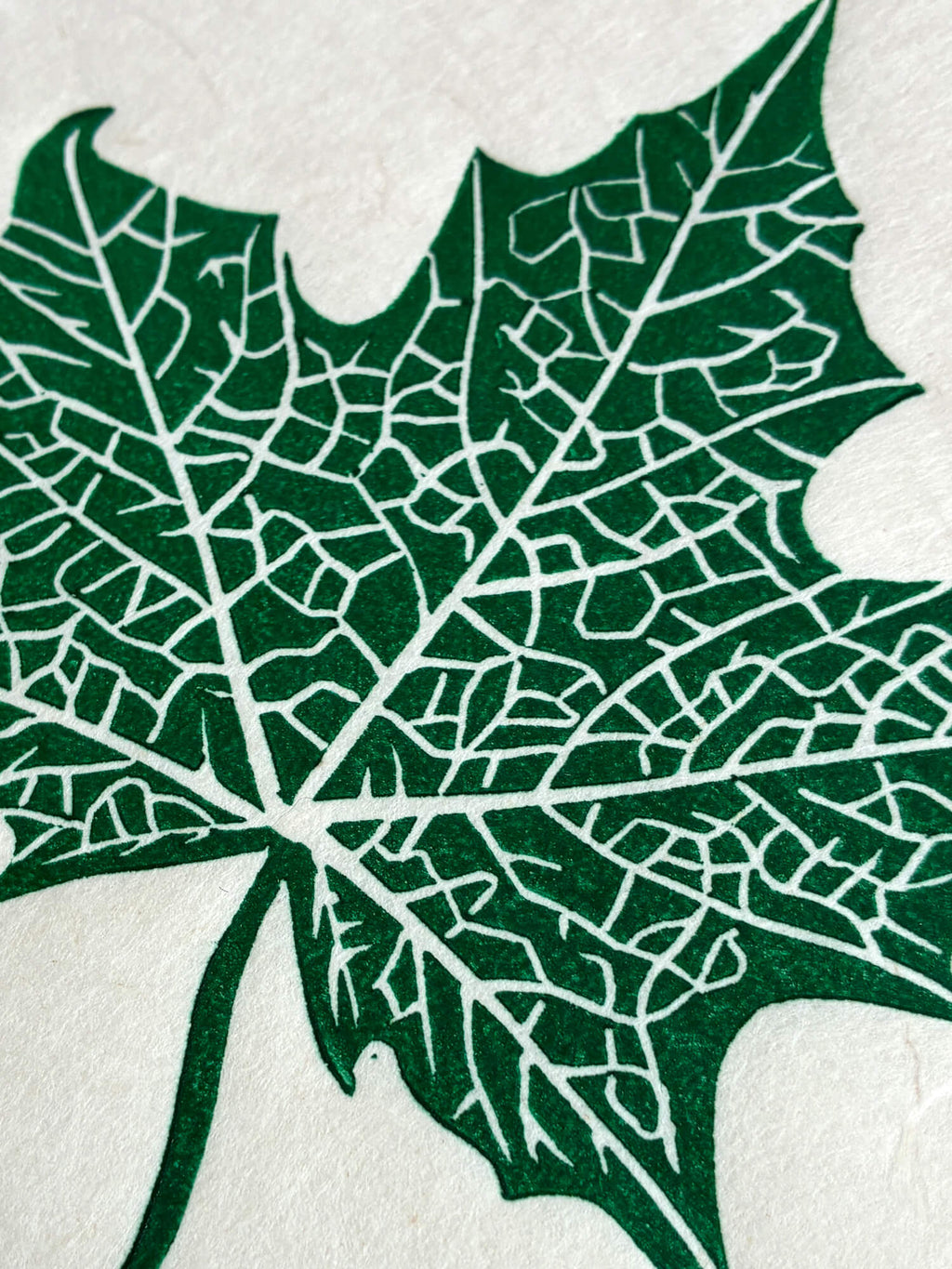 Close up detail of a maple leaf botanical linocut print in green