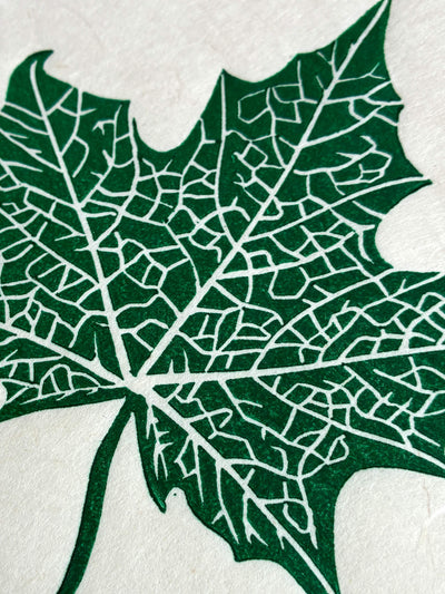 Close up detail of a maple leaf botanical linocut print in green