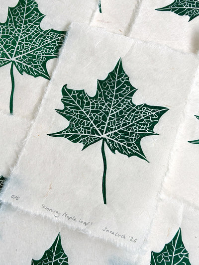 Maple leaf print, art gift for gardeners and nature lovers.