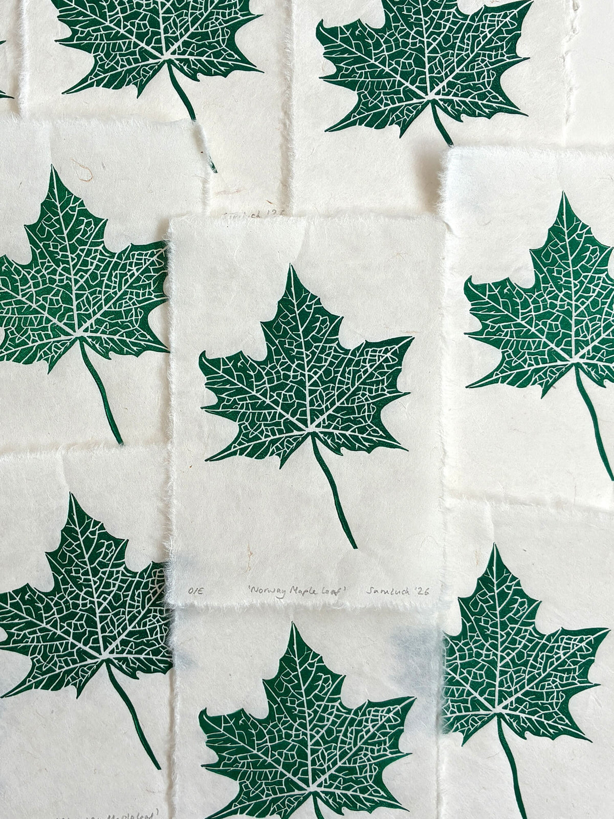 Print edition of a maple leaf linocut print, hand carved and printed in the UK.