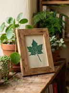 Small wooden frame featuring a linocut print of a maple leaf amongst pot plants. Thoughtful gift for gardeners.