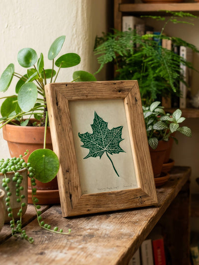 Small wooden frame featuring a linocut print of a maple leaf amongst pot plants. Thoughtful gift for gardeners.