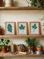 Set of three small botanical leaf prints featuring UK trees, on some shelves with gardening scissors, twine and pot plants. Gift for gardeners.