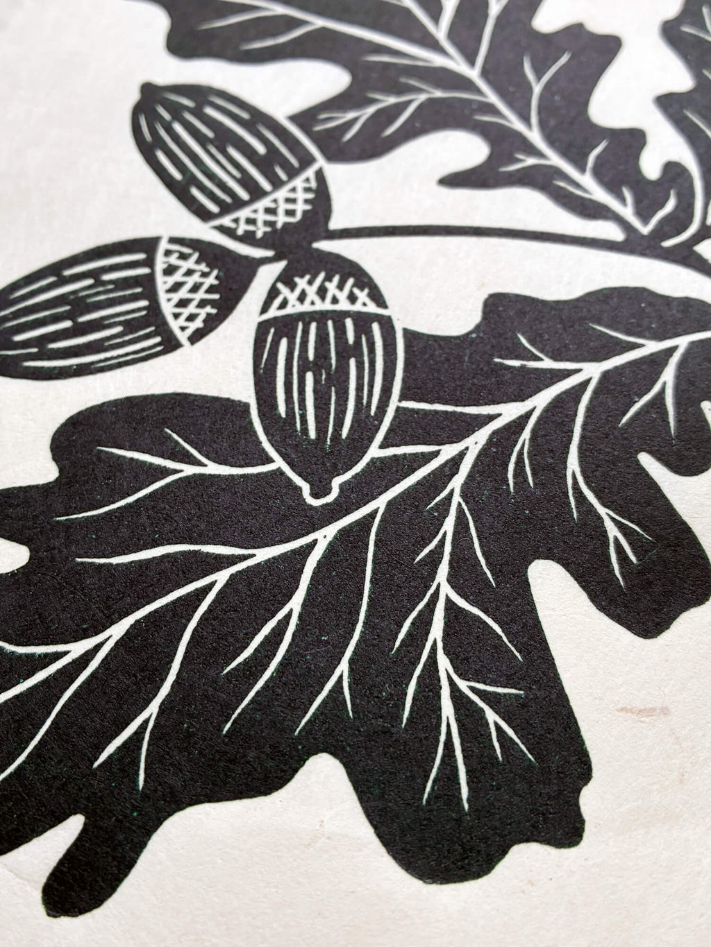 Close up detail of oak leaf and acorn botanical linocut print by Sam Luck, artist, UK.