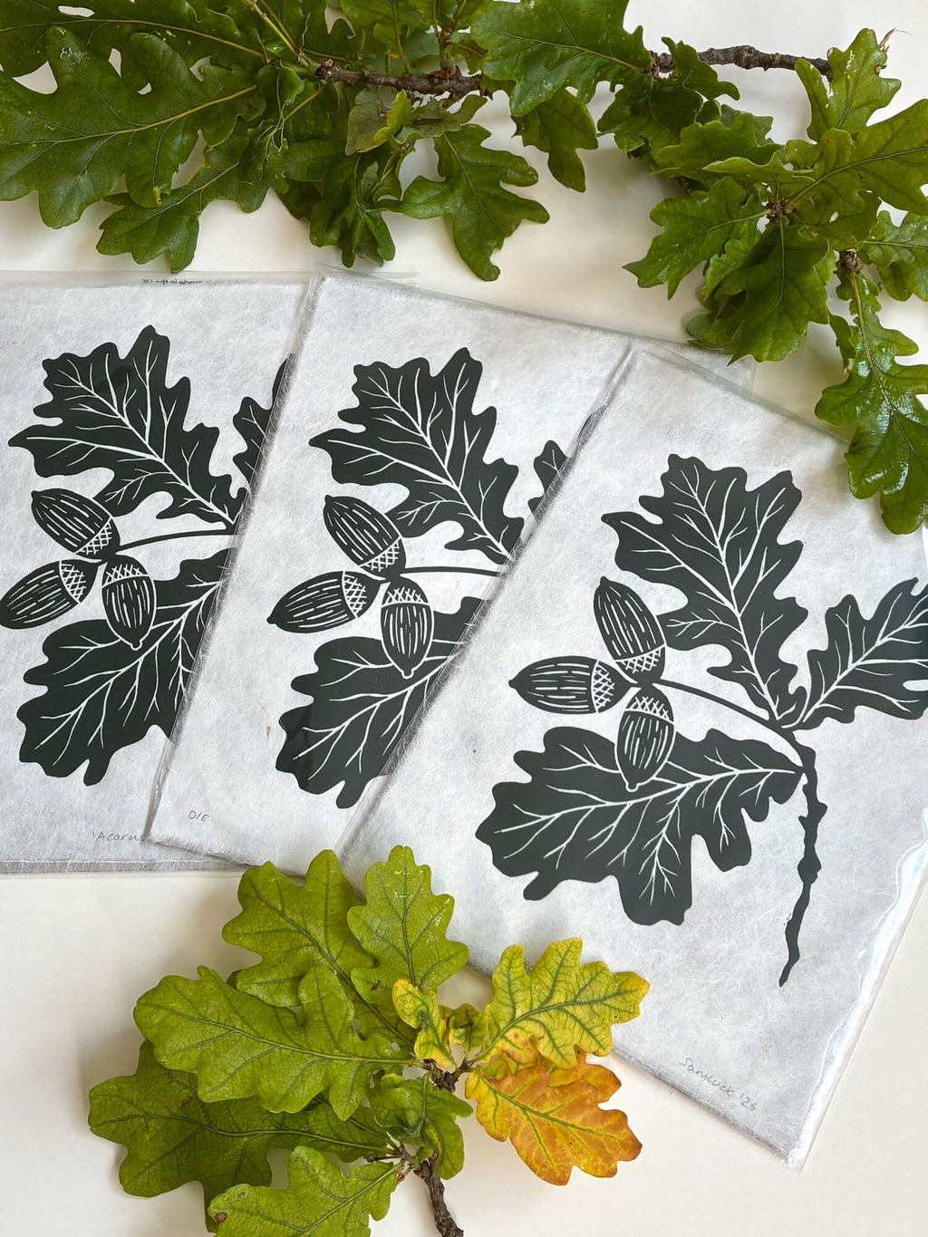 Oak leaf and acorn woodland linocut prints, displayed in cello bags surrounded by oak leaves.