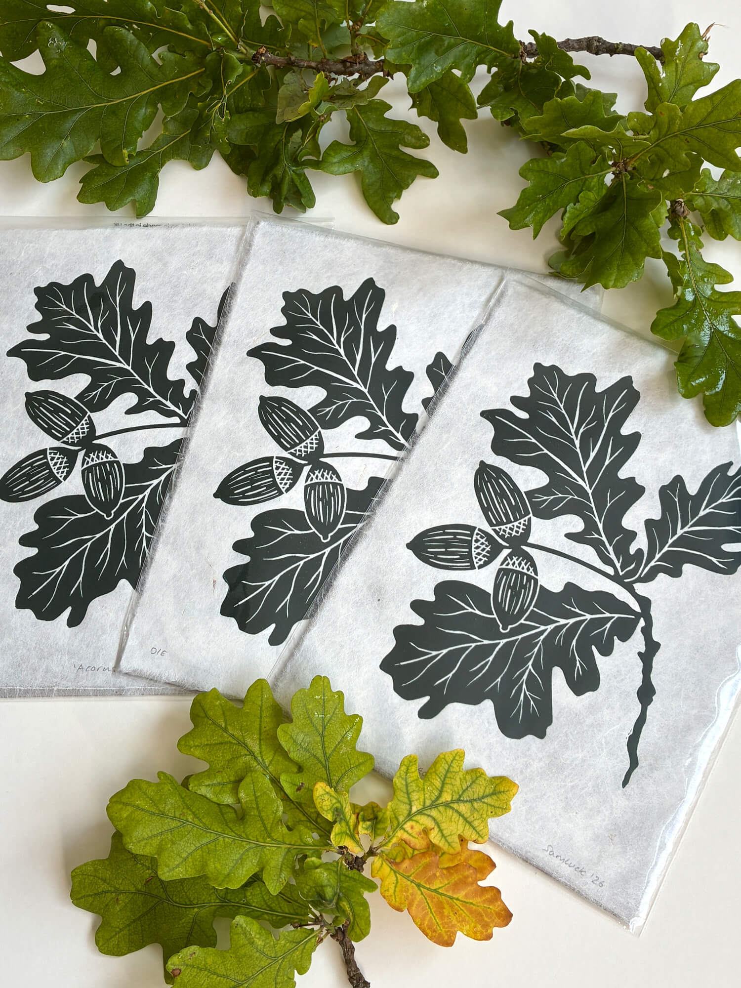 Oak leaf and acorn woodland linocut prints, displayed in cello bags surrounded by oak leaves.