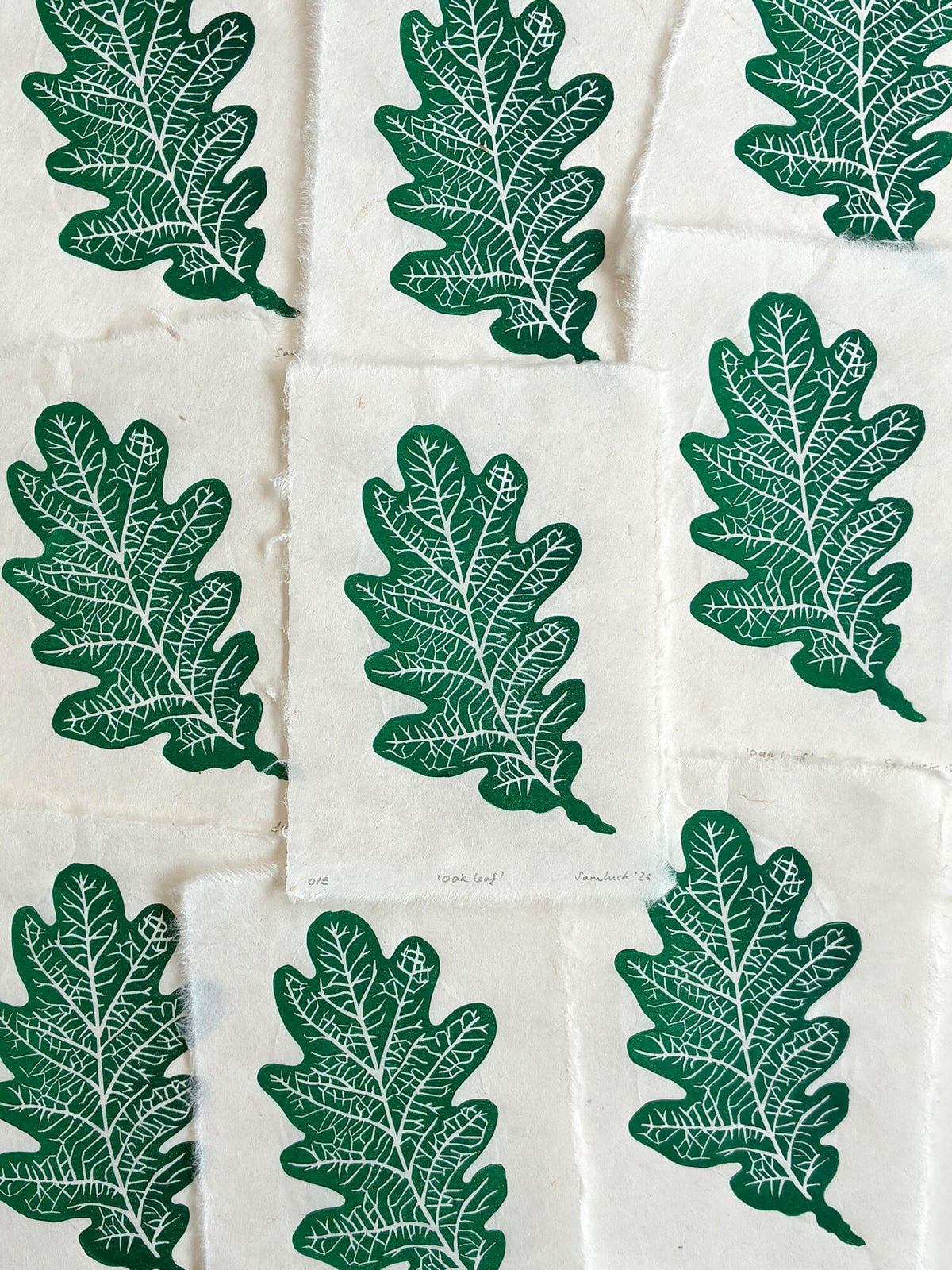 Print edition of an oak leaf A6 linocut print, hand carved and printed in the UK.