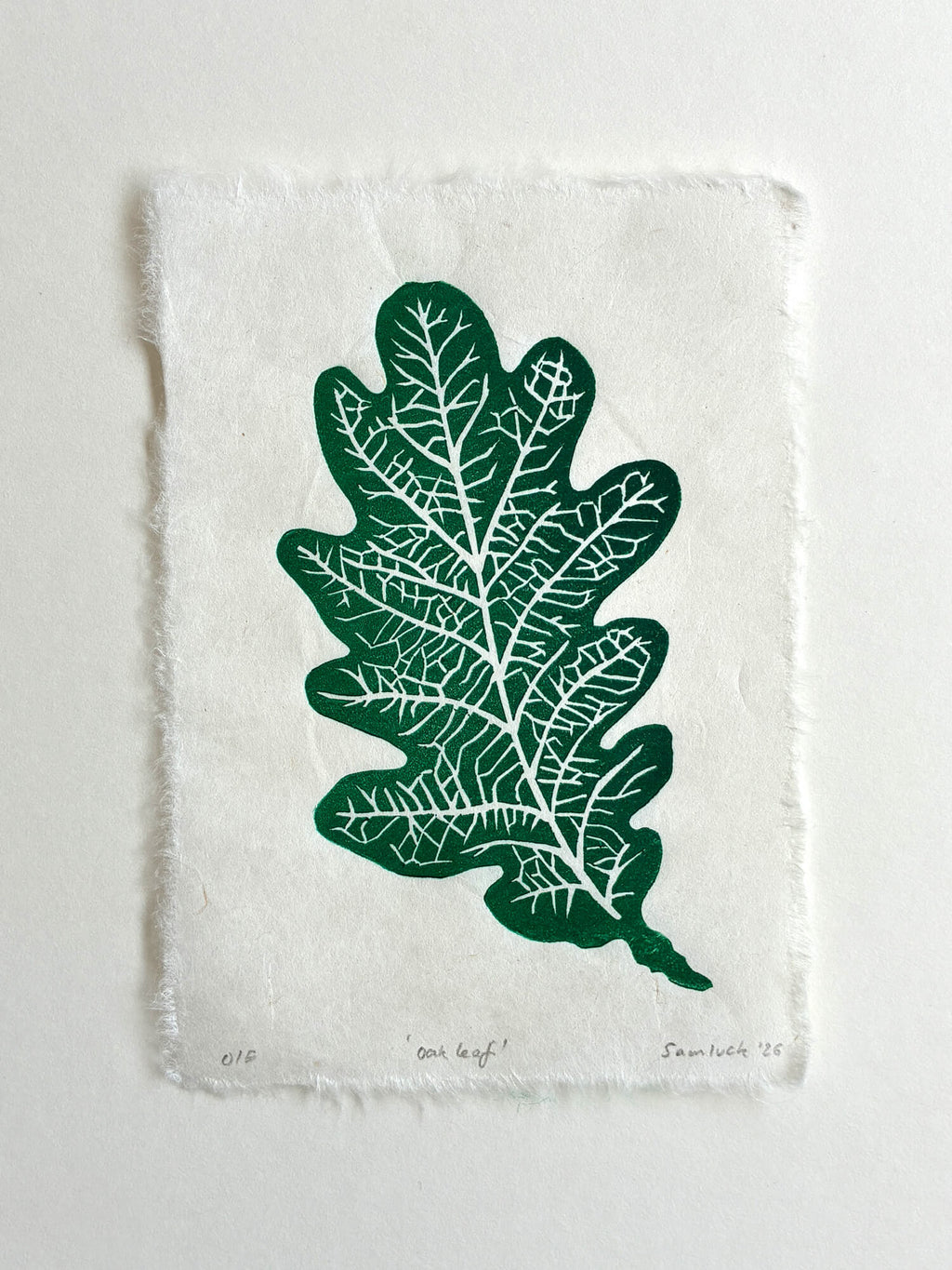 Oak leaf botanical art print on a white background.
