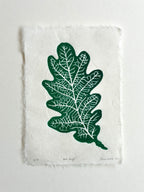 Oak leaf botanical art print on a white background.