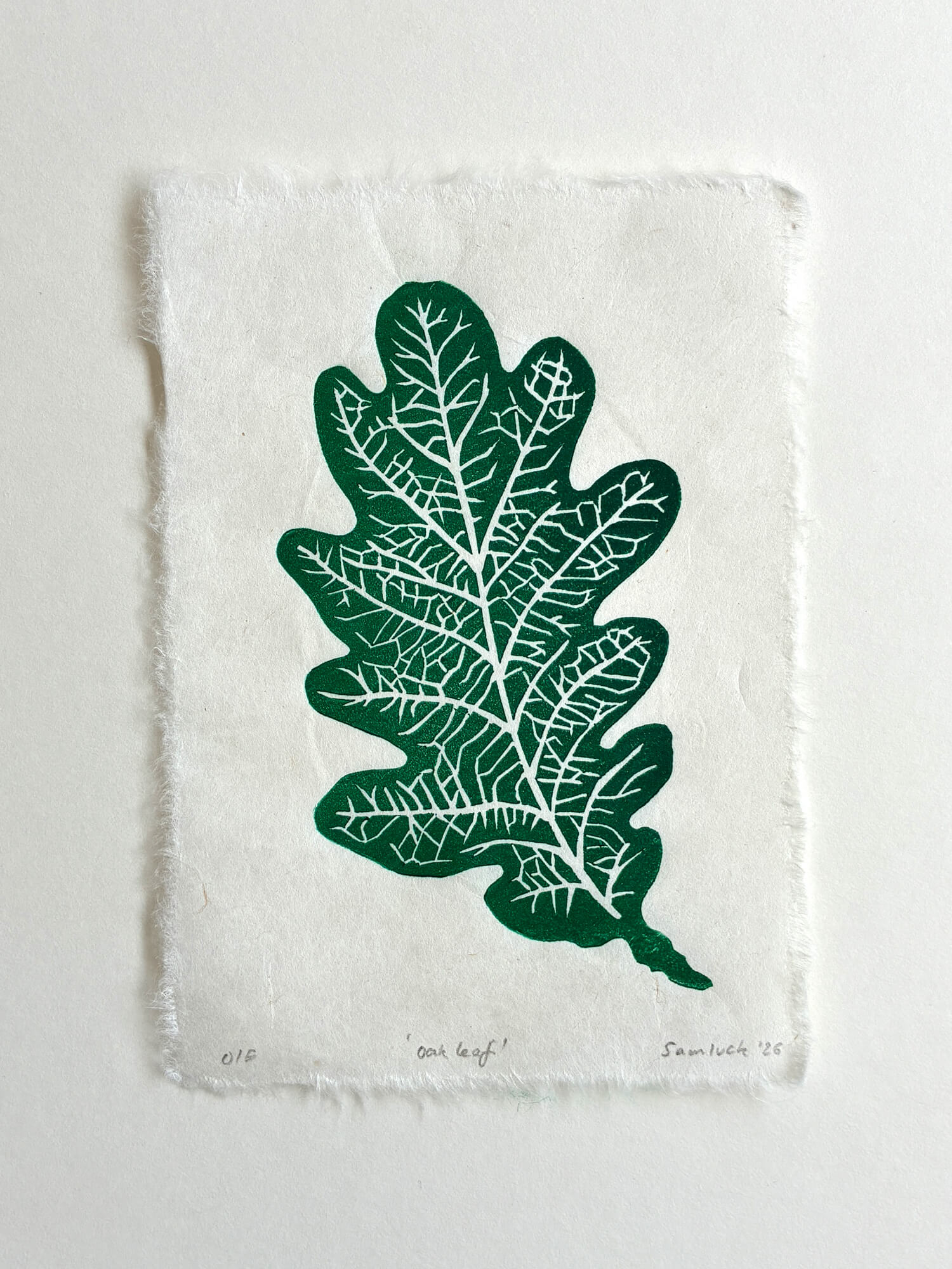 Oak leaf botanical art print on a white background.