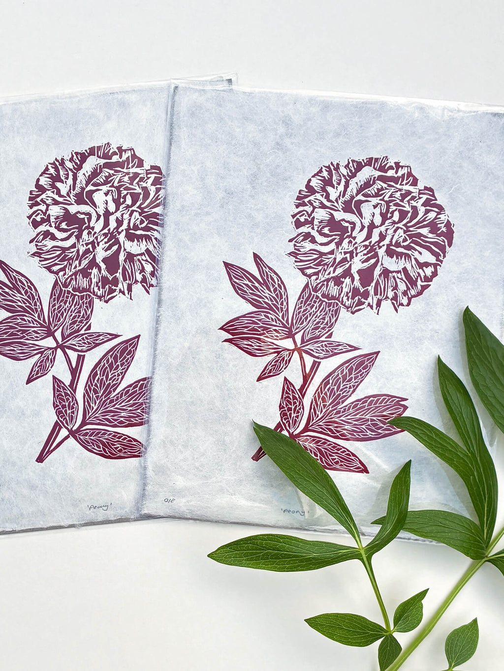 Gifts for gardeners and nature lovers. Peony linocut wall art prints, UK.