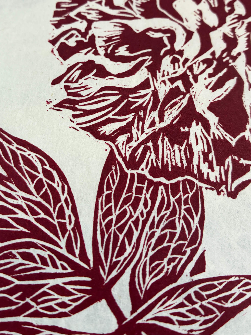 Close up detail of a red peony print botanical wall art by Sam Luck, UK.