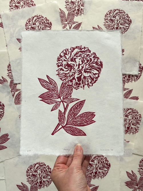 Hand holding a botanical wall art print of a red peony, by Sam Luck, linocut artist, UK.
