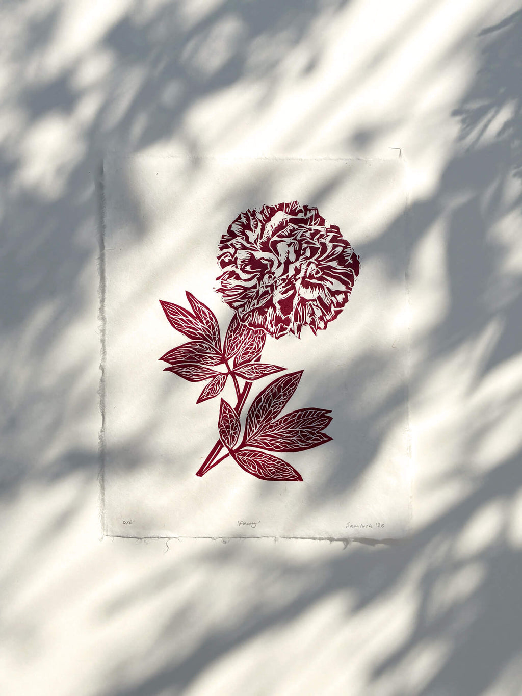 Red peony wall art print with soft plant shadows. Linocuts by Sam Luck printmaker, Hampshire, UK.