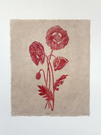 Wild Poppies Botanical Linocut Print 10x12 – Handmade Nature Wall Art UK