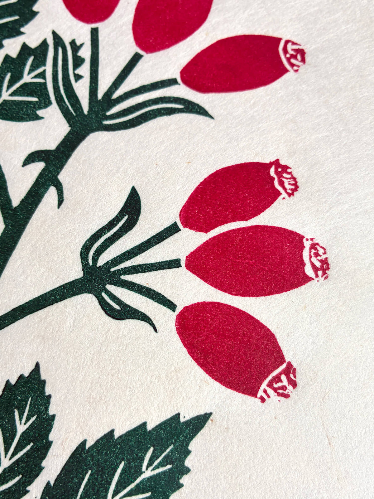 A close-up of a botanical print featuring dark green leaves and stems with three red rosebud shapes on a textured off-white background.