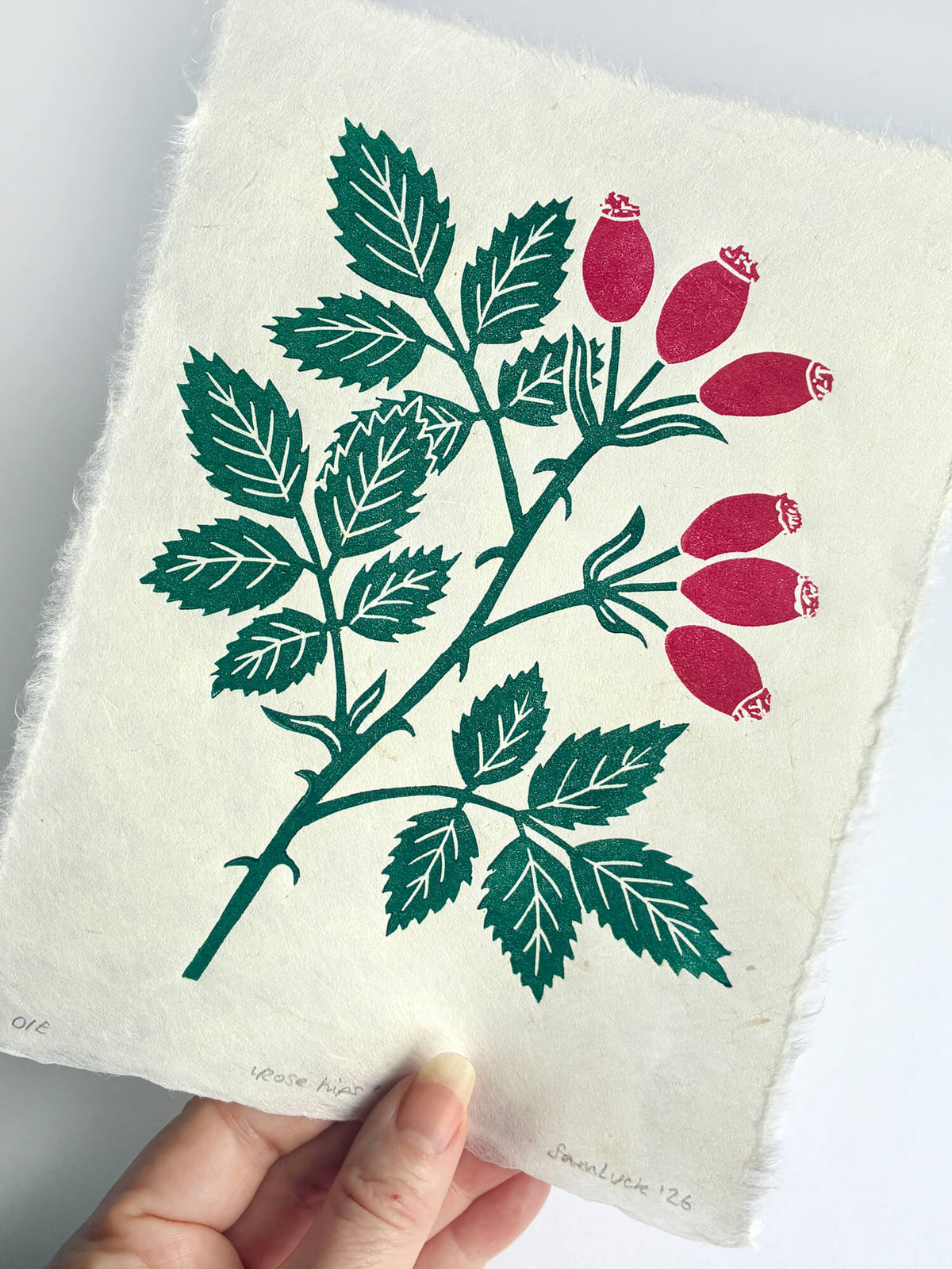 A hand holds a piece of textured off-white paper featuring a botanical print of a rose branch with green leaves and red rose buds, against a plain white background.