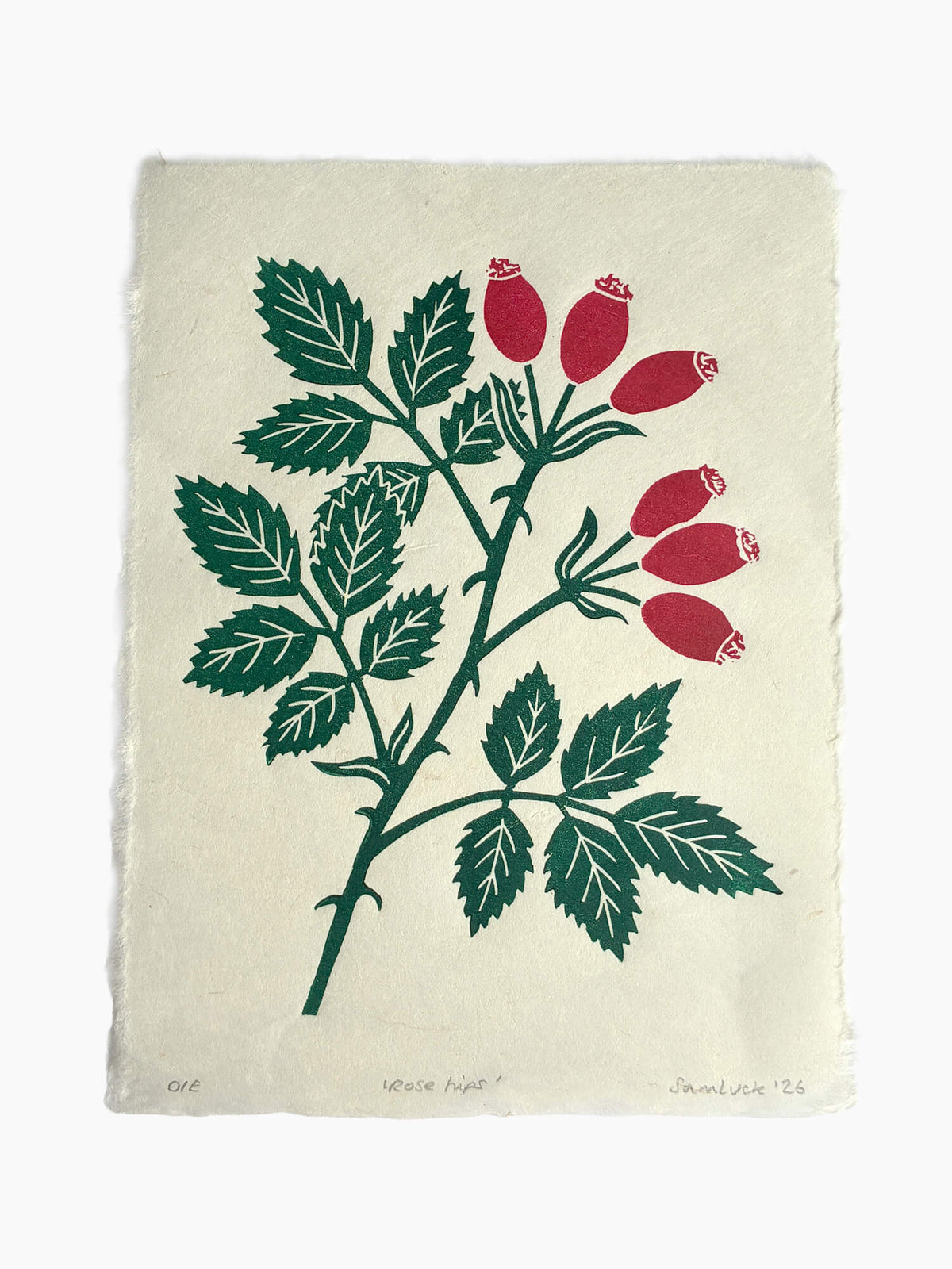 An art print on textured off-white paper featuring a botanical illustration of a rose hip branch with green leaves and red berries, photographed against a clean white background.