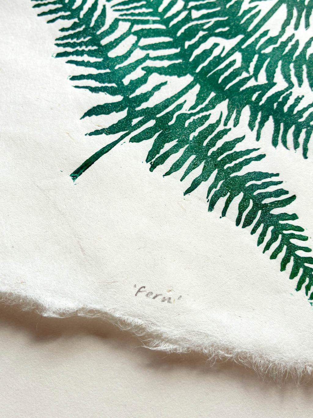 Detail of a green fern linocut print on handmade paper, by Sam Luck, botanical artist UK.