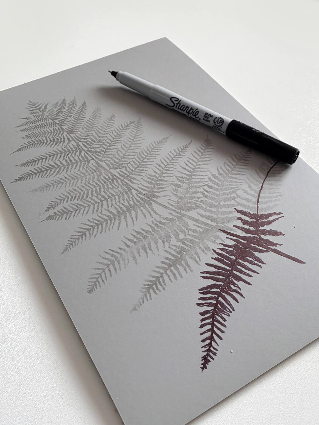 Drawing of a fern leaf on a battleship grey lino block using a sharpie pen. Created by Sam Luck, Hampshire based linocut artist.