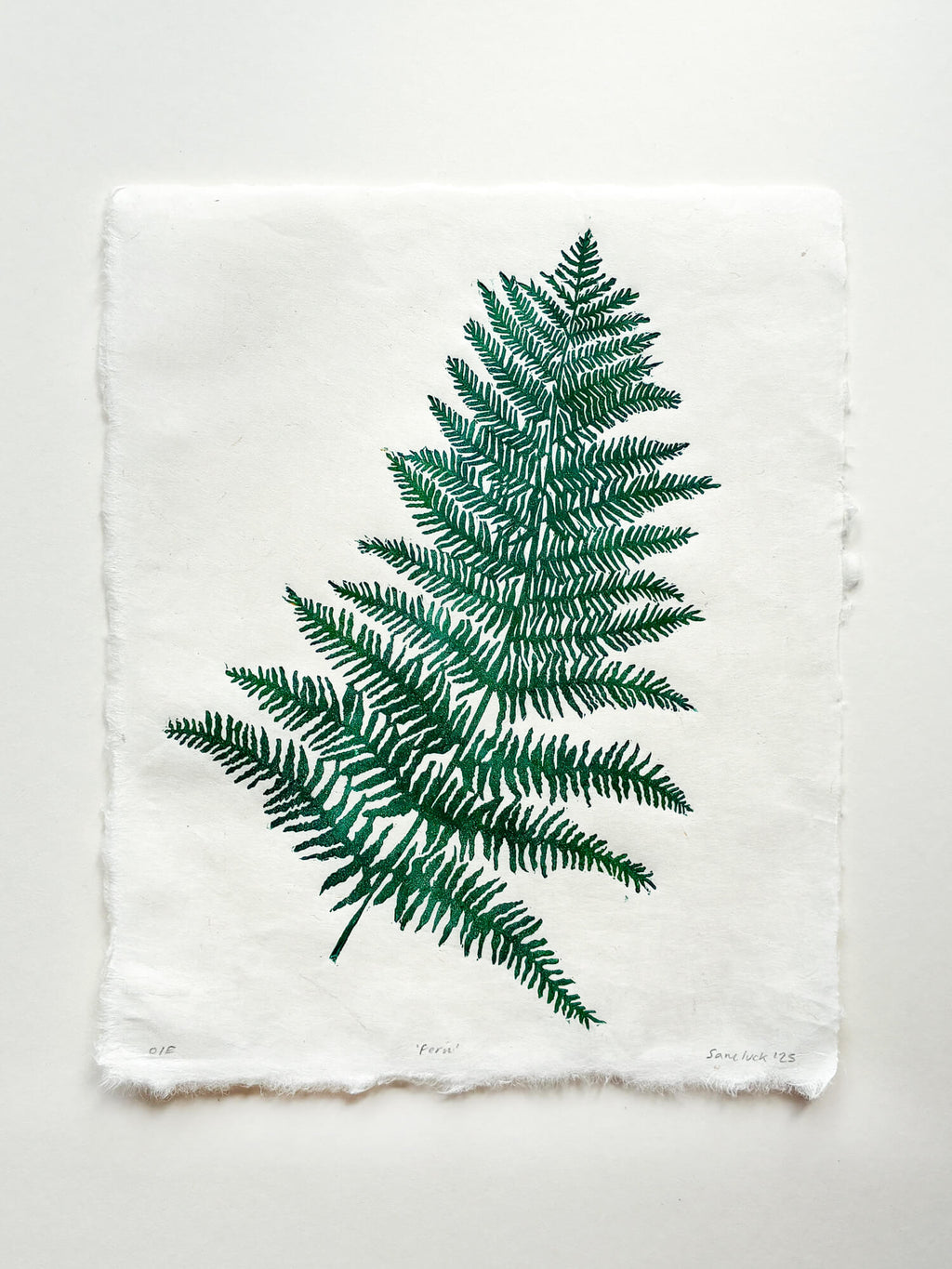 Handmade fern leaf nature linocut print on handmade paper, on isolated white background, hand printed by UK botanical linocut artist Sam Luck.