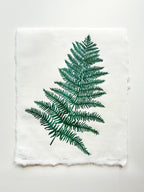 Handmade fern leaf nature linocut print on handmade paper, on isolated white background, hand printed by UK botanical linocut artist Sam Luck.