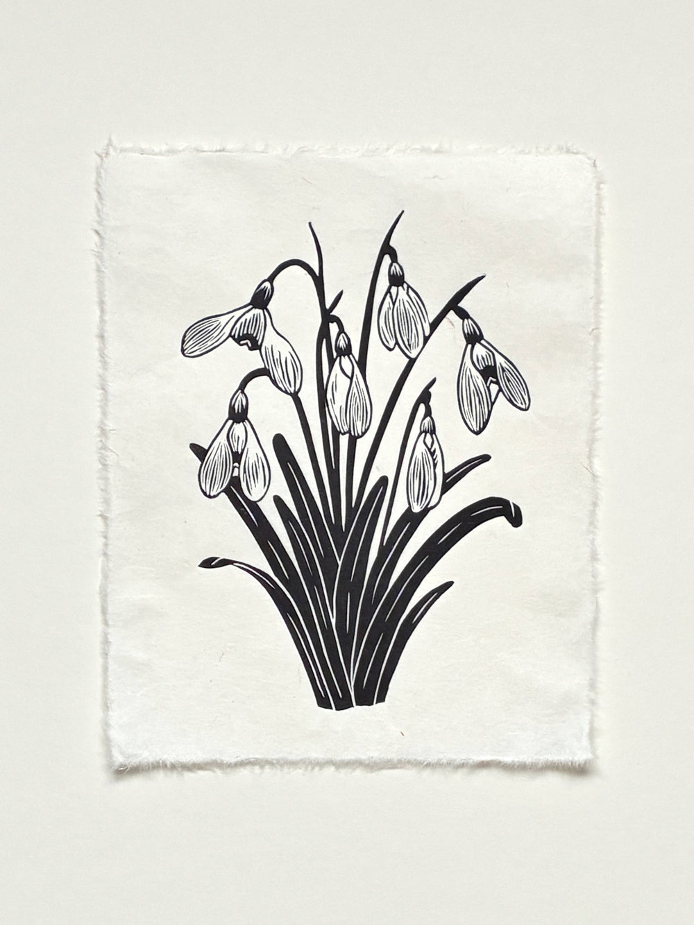 Handmade snowdrops linocut print on handmade paper in black, full view from above on white background, hand printed by UK linocut artist Sam Luck
